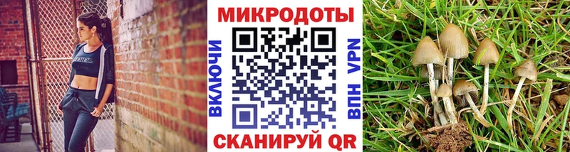 Псилоцибиновые грибы мицелий мега рабочий сайт Ахтубинск